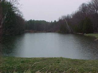 #1: The Confluence Pond