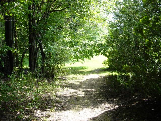 Looking South from the Confluence point