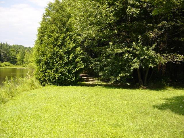 Path leading to the Confluence point