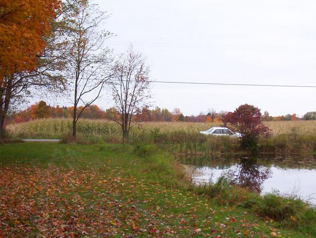 Looking south back to Crane Road where Maggie is parked.