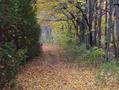 #2: Looking north down the path along the east side of the lake.