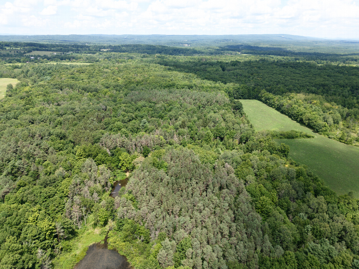 View North, from 120m above the point