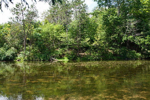 #1: The confluence point lies on the edge of a pond.  (This is also a view to the West, across the pond.)