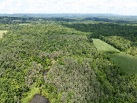 #8: View North, from 120m above the point