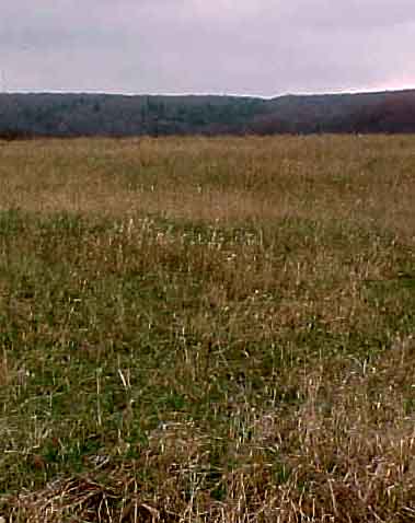 Standing at the Confluence -- Looking south