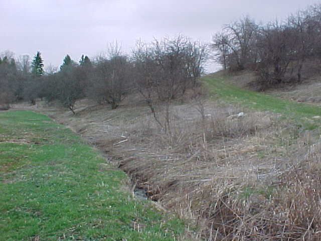 Crossing a Small Stream