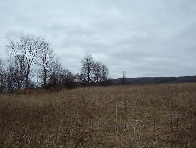 View to the east