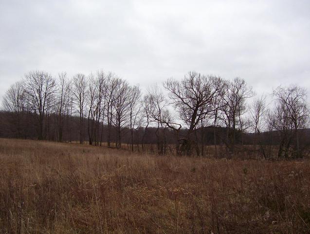 View to the south