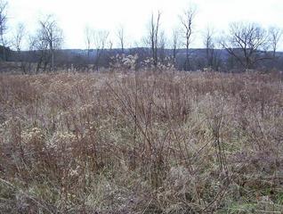 #1: View of the confluence area
