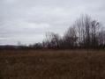 #2: View to the north