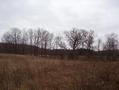 #4: View to the south