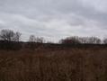 #5: View to the west