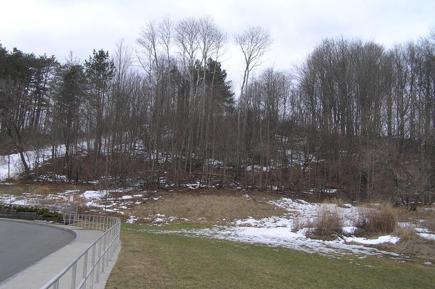 Ridge on approach to the confluence: Looking east.  This needs to be climbed and two fields need to be traversed to reach the point.