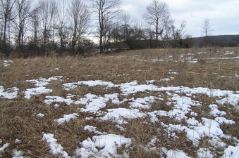 #1: Confluence of 43 North 75 West, in the foreground, looking northeast.