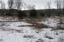 #7: View to the south from the confluence.