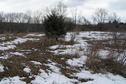 #8:  View to the west from the confluence point.