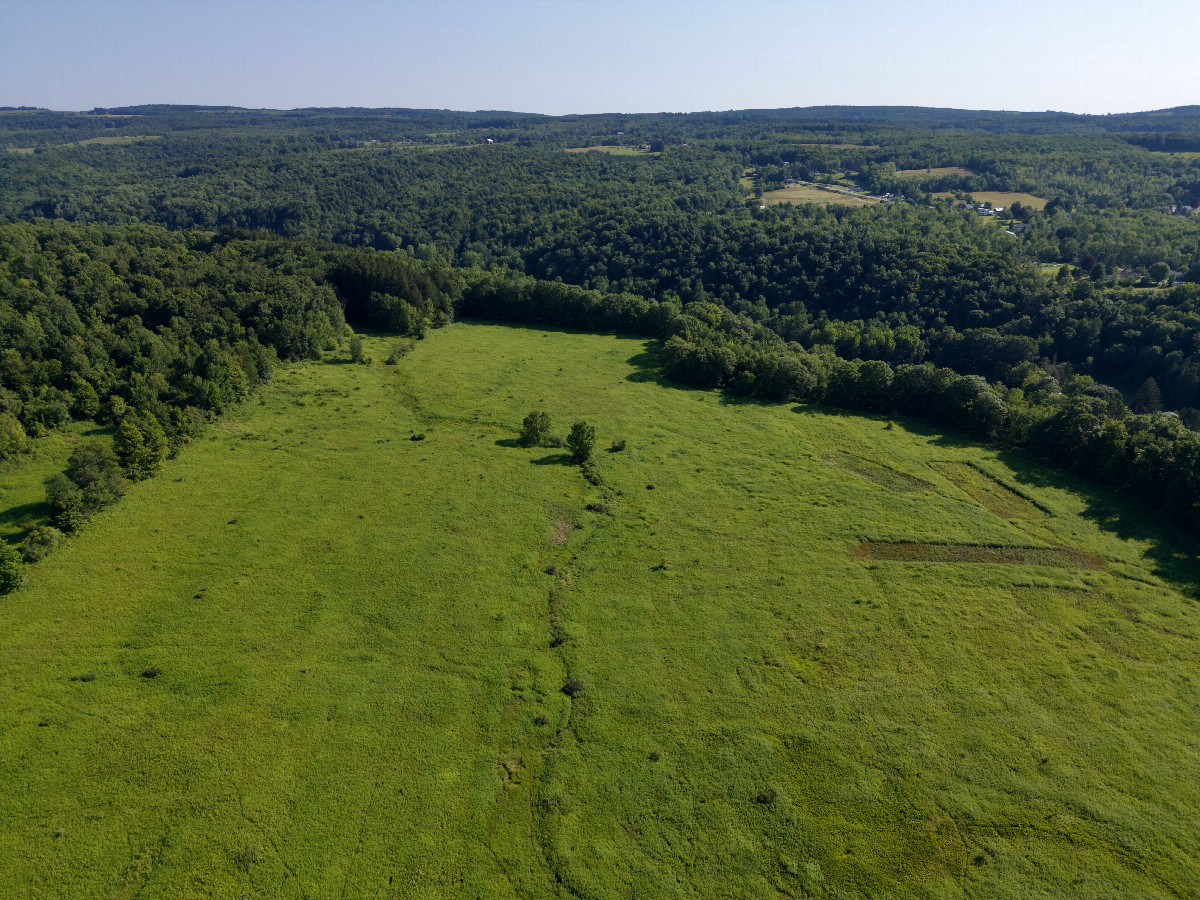 View South, from 120m above the point