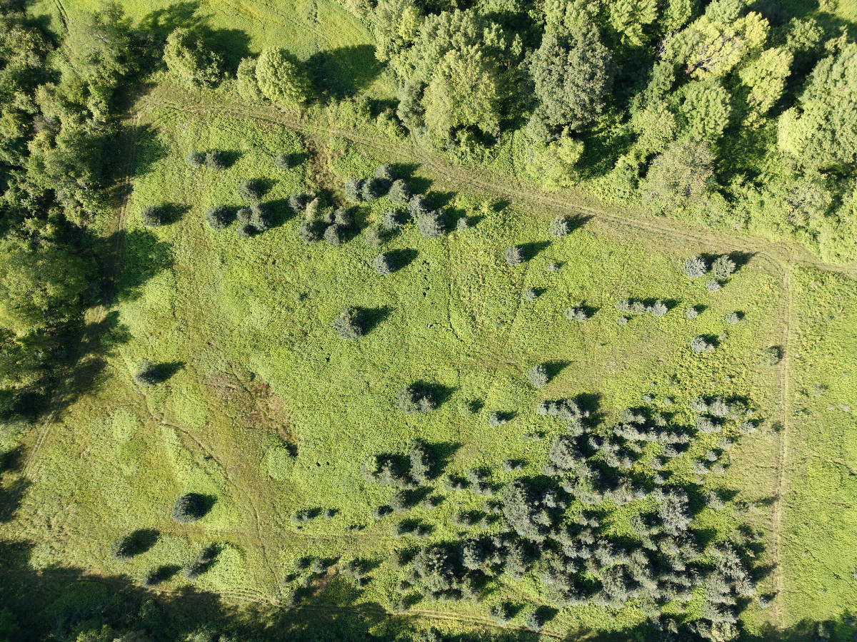 Looking down on the point from a height of 120m