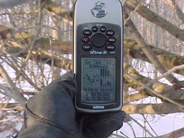 GPS in Hand at the Tree