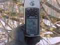 #2: GPS in Hand at the Tree