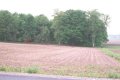 #4: Looking west from road into wood lot. Confluence is about 150 ft behind red X.