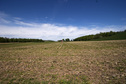 #2: Other North