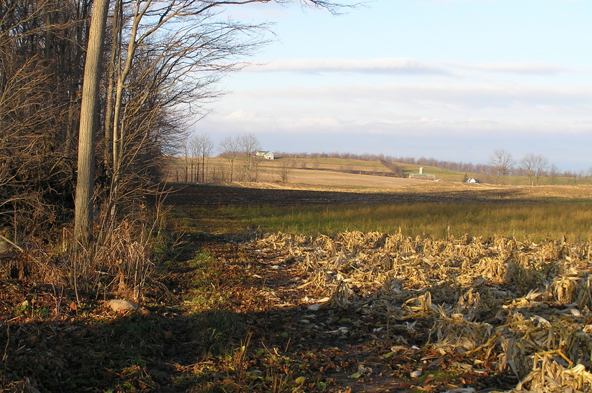 Clear view to the west, from 77 West, 30 meters north of confluence. 