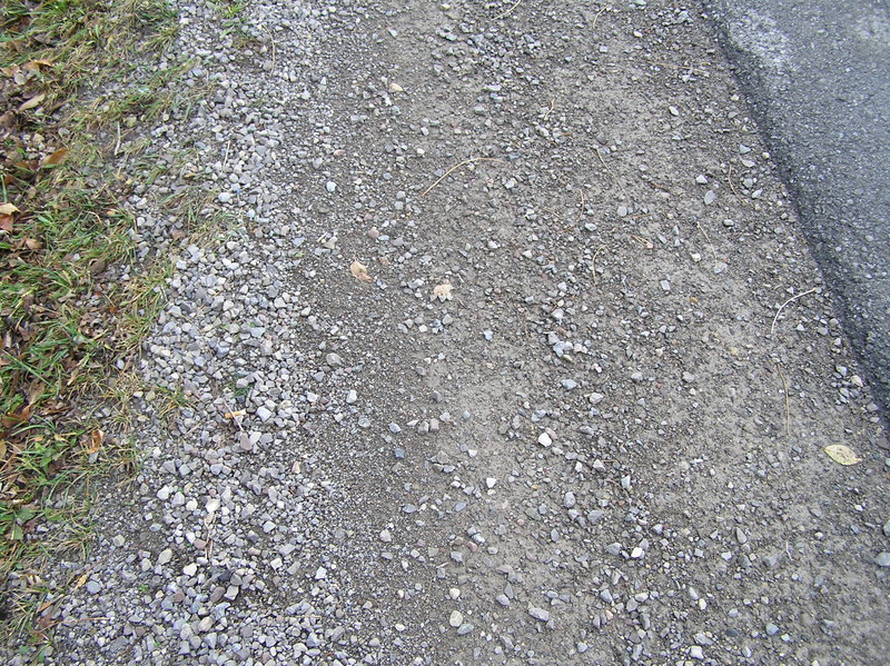 Ground cover at the confluence point.