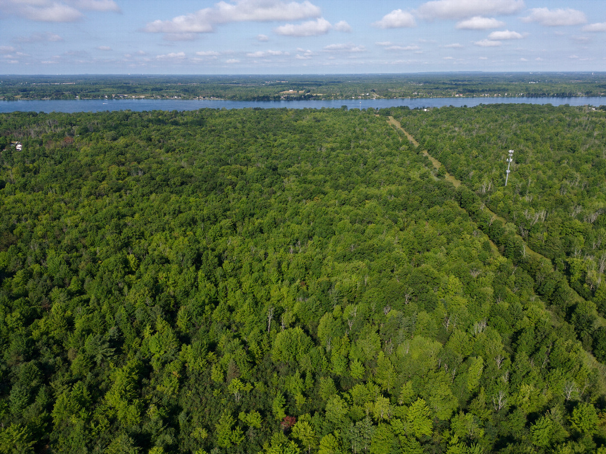 View West (towards the Niagara River, and Ontario, Canada beyond), from 120m above the point