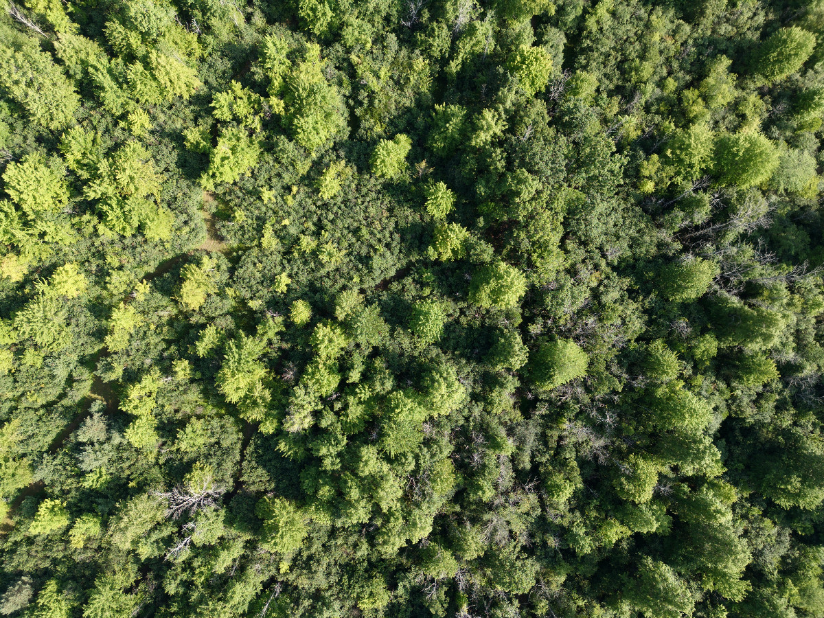 Looking down on the point from a height of 120m