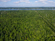 #11: View West (towards the Niagara River, and Ontario, Canada beyond), from 120m above the point