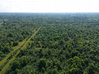 #9: View East, from 120m above the point