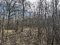 #3: View to the east from the confluence point. 