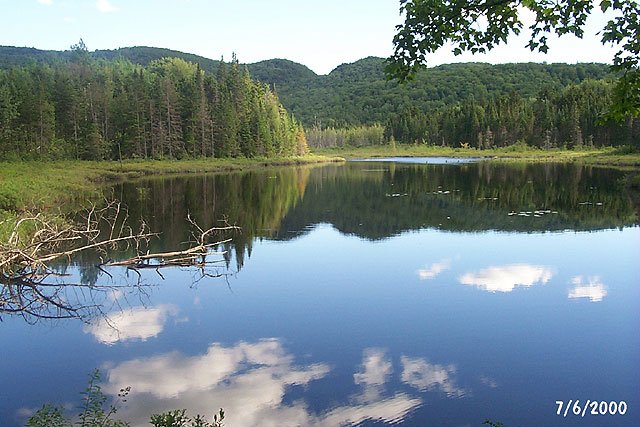 Trout Pond