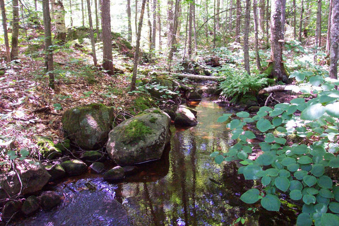 Sitz Creek, a quarter mile northwest of the confluence