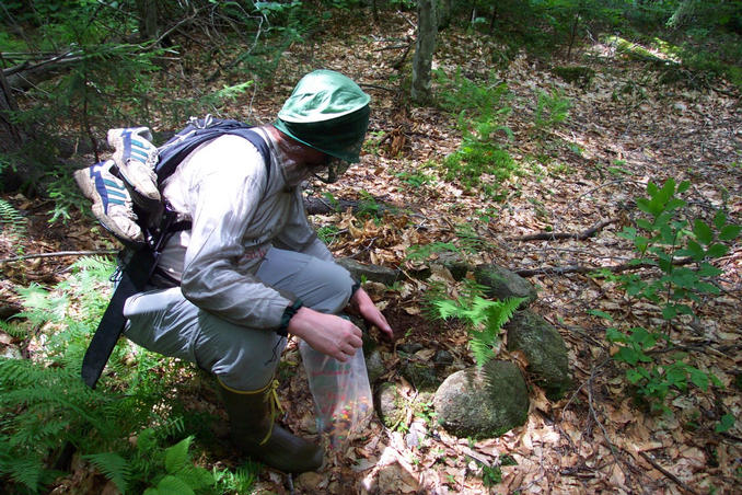 Russ examines the old campfire ring 100' southwest