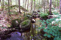 #4: Sitz Creek, a quarter mile northwest of the confluence