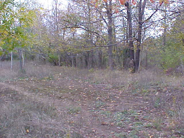 Confluence Area View #1 - an old dirt road goes nowhere