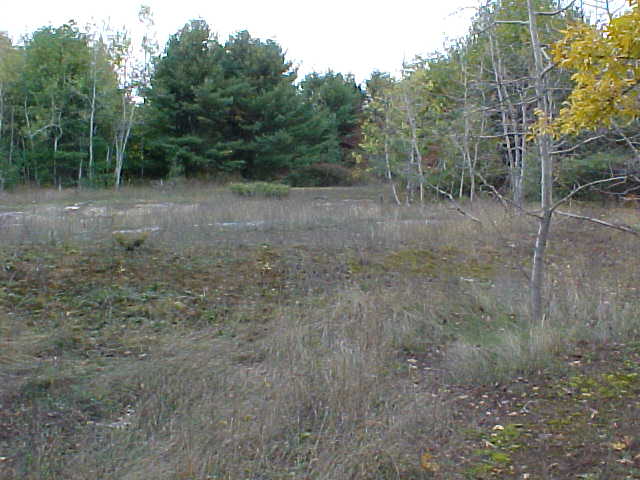 Confluence Area View #2 - note the exposed rock face on the ground