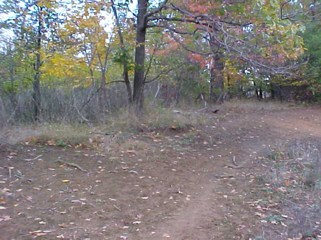Confluence Area View #4 - the autumn foliage is nearly at its peak