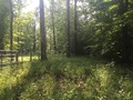 #6: View to the east from the confluence point. 