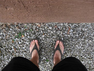 #4: Ground cover