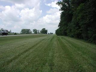 #1: View North from near the confluence point.