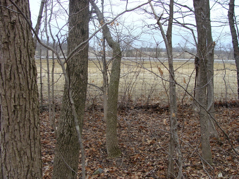 Looking west back through the fence to Highway 235