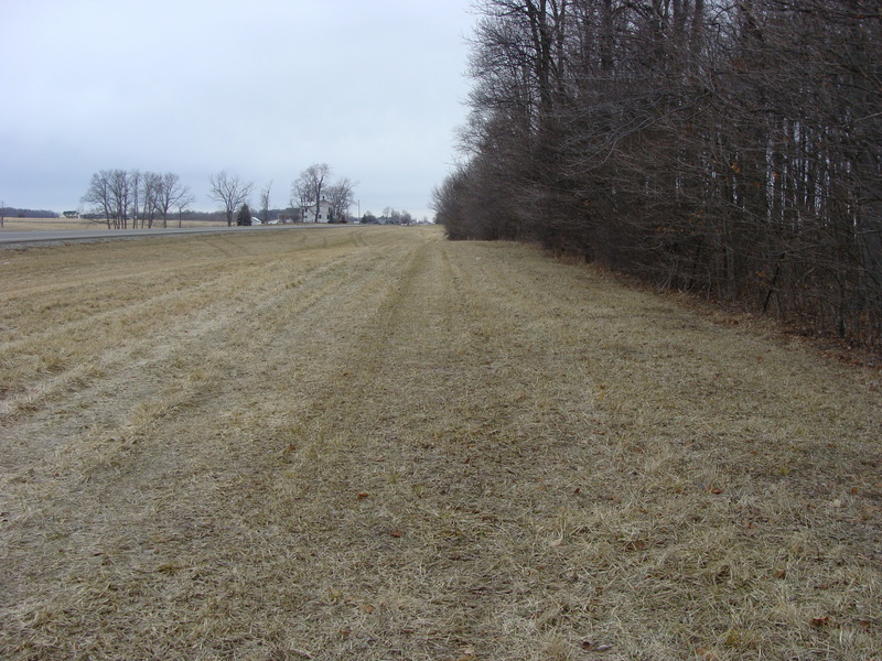 Looking north along the shoulder of Highway 235