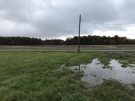 #7: View to the south from the confluence.