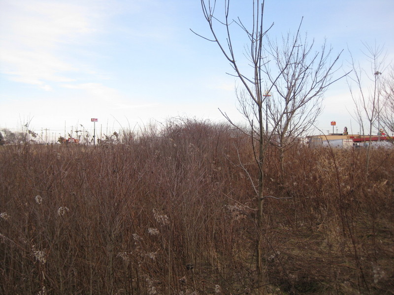 View to the east and back to the Pilot station