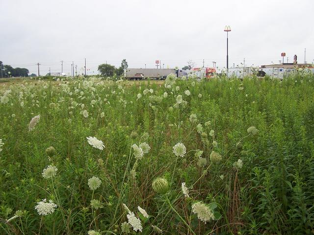 Looking East towards the truck stop.