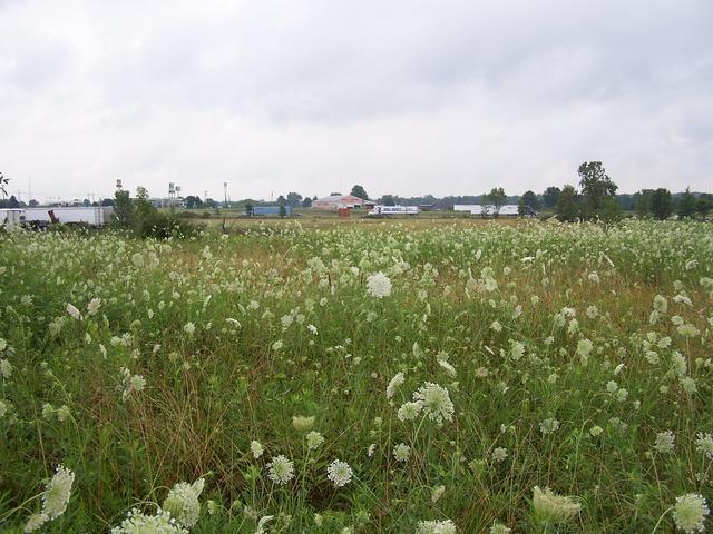 The view South towards Interstate 71