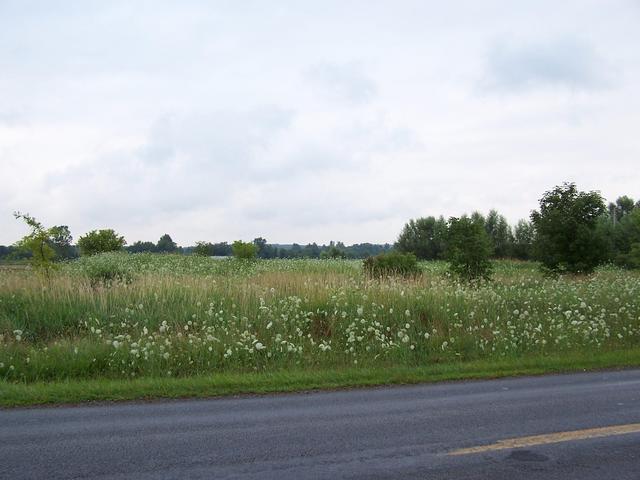 Overview looking South from Willow Road.